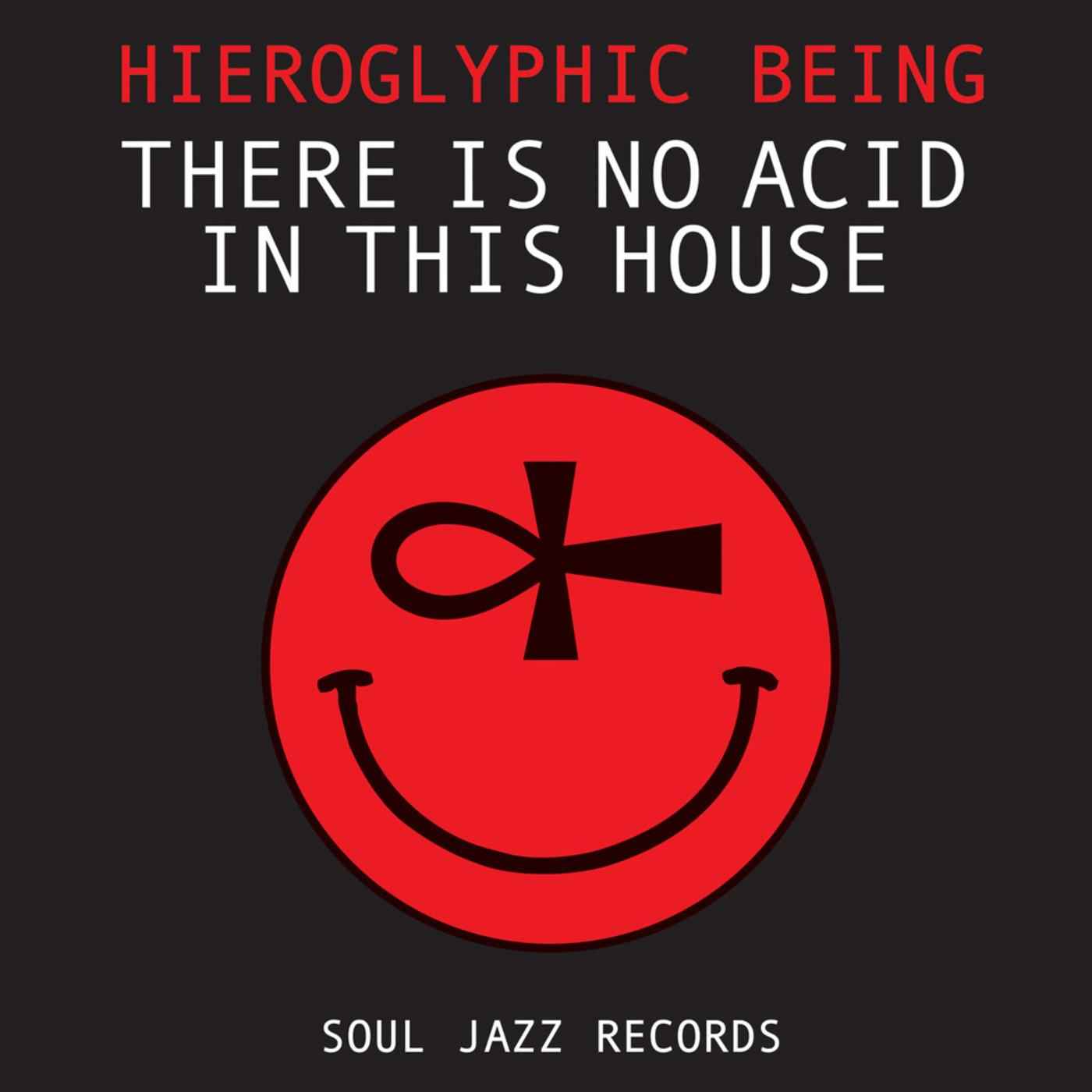There Is No Acid In This House [CD]