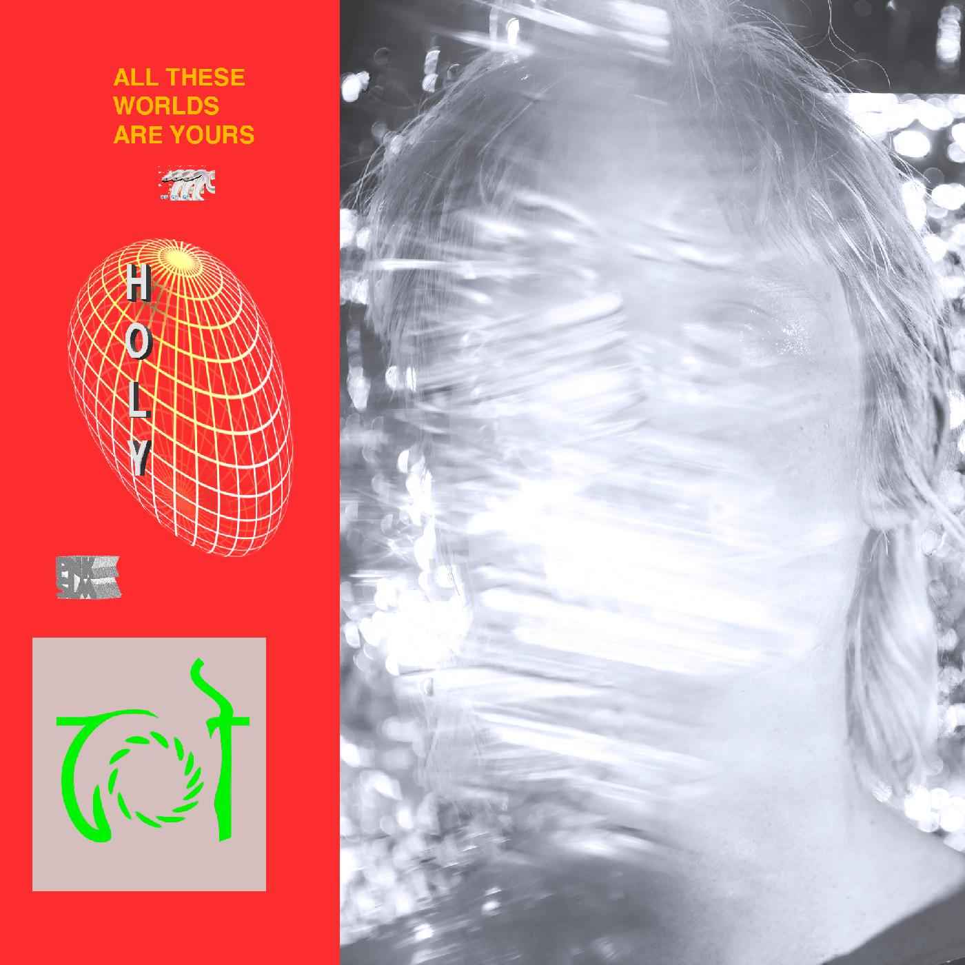 All These Worlds Are Yours [Vinyl]