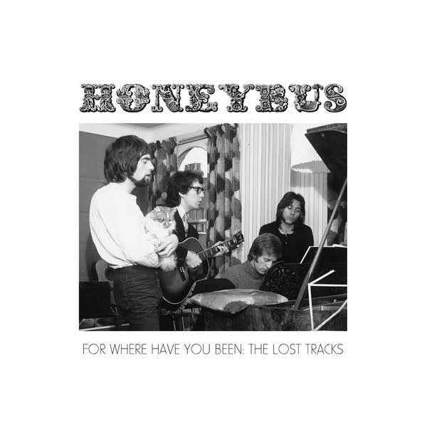 For Where Have You Been: The Lost Tracks [Vinyl]