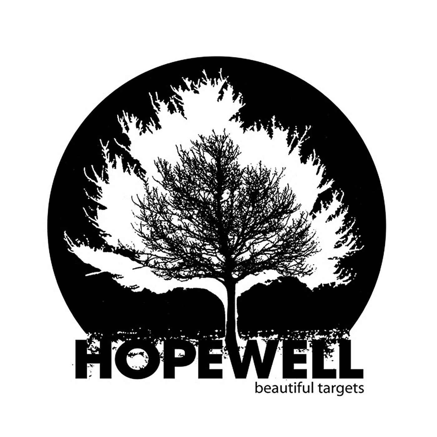 Beautiful Targets [CD]