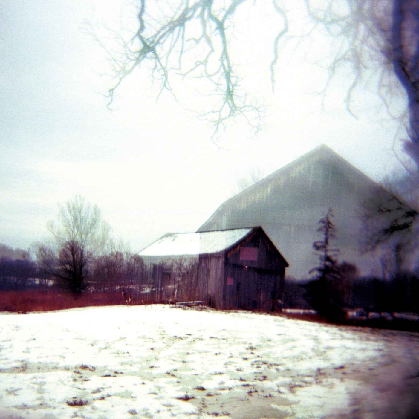 House With No Home [CD]