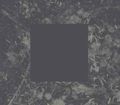 Poisoned Soil [CD]