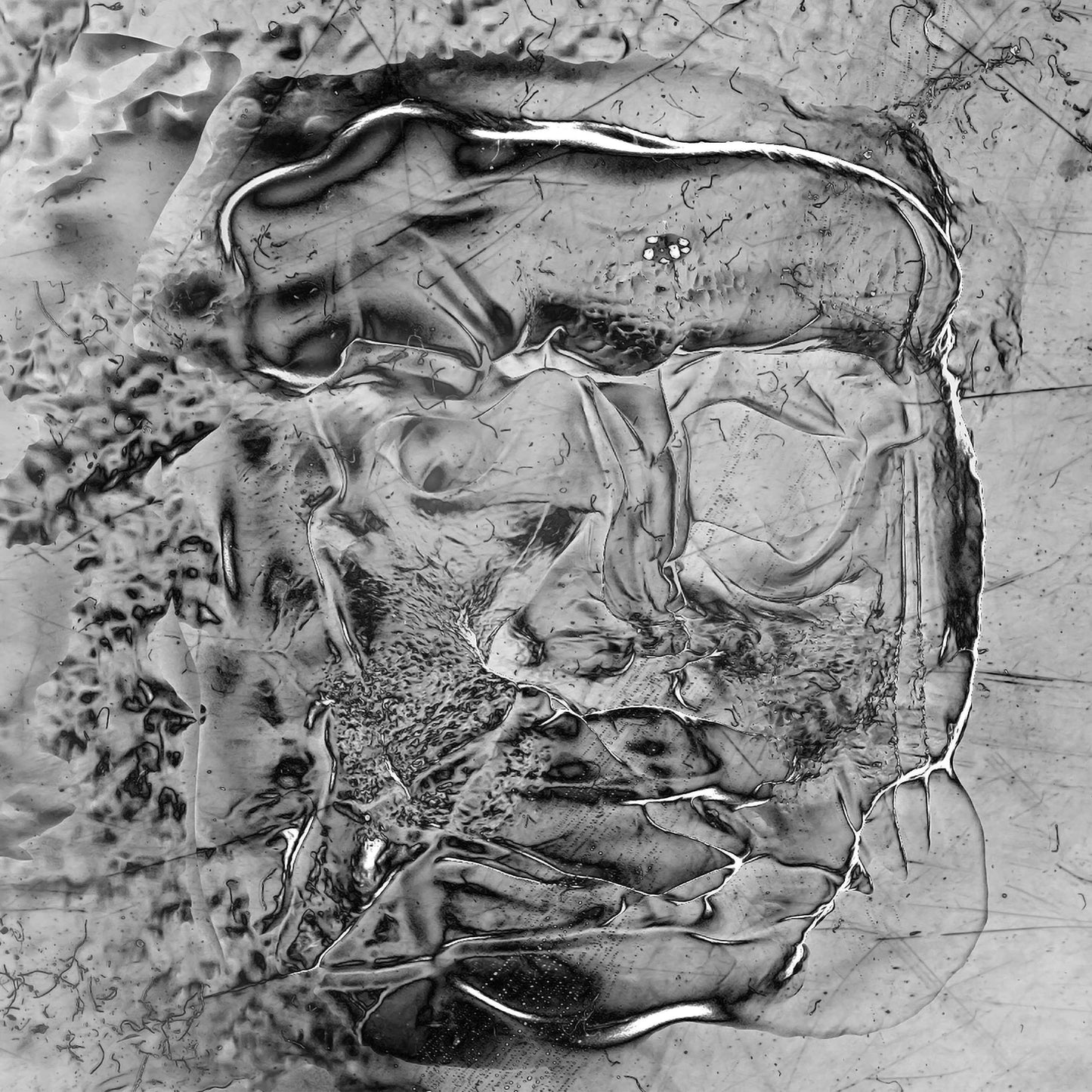 The Anteroom [Vinyl]