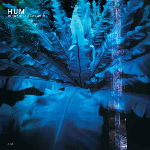 Downward Is Heavenward [Vinyl]