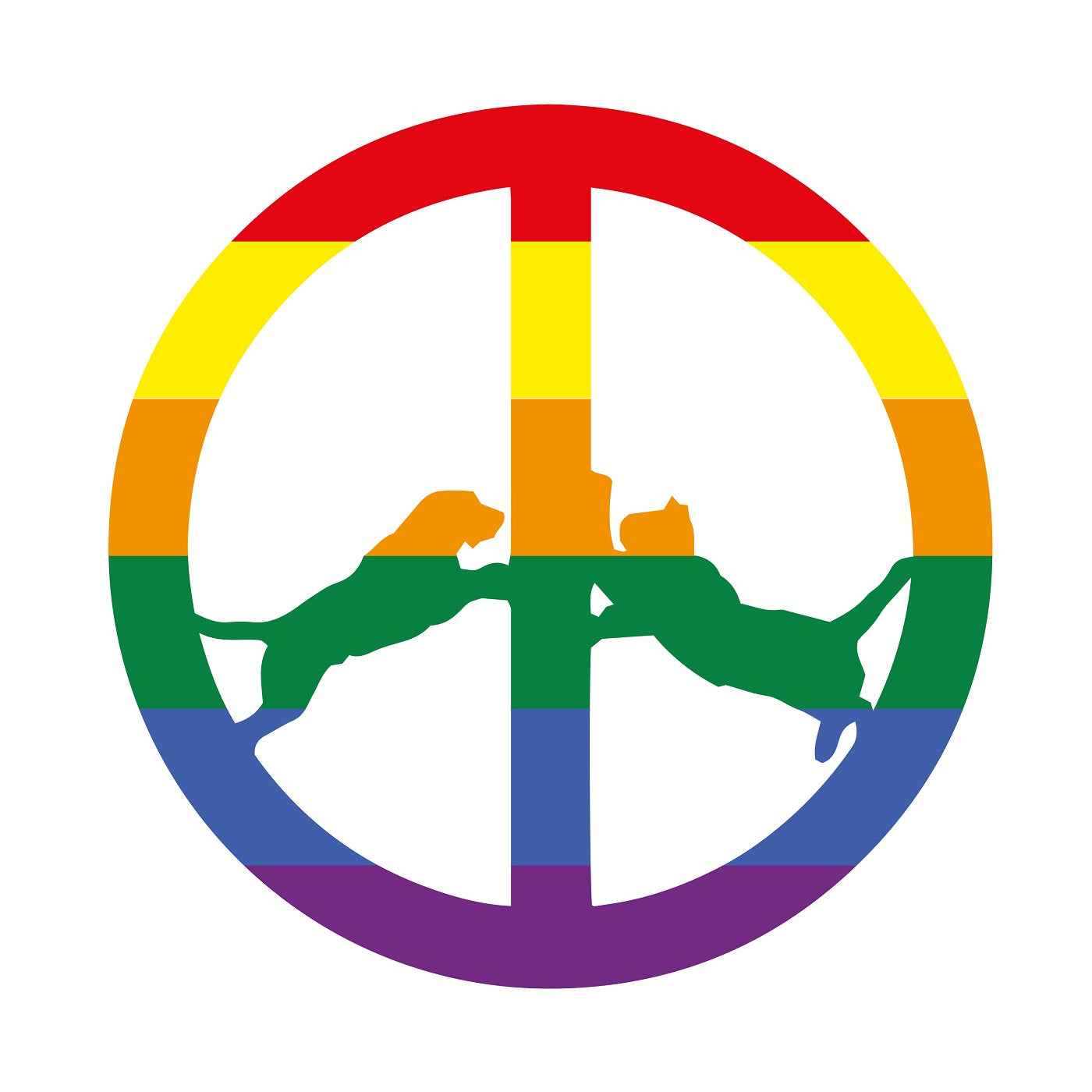 Hype Williams - Rainbow Edition [Vinyl]