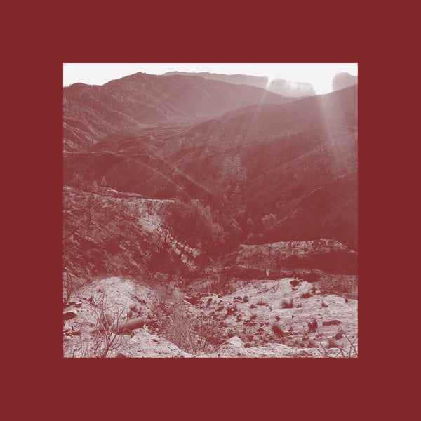 On The Darkest Day, You Took My Hand And Swore It Will Be Okay [CD]