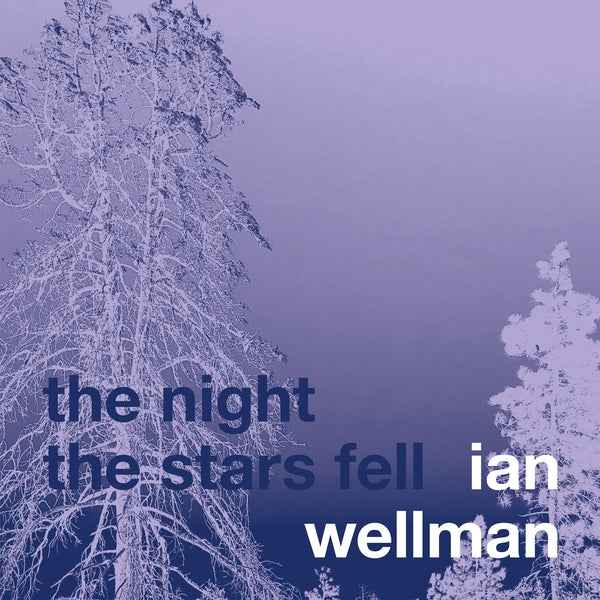 The Night The Stars Fell [CD]