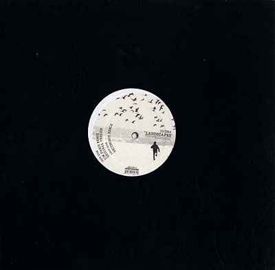 IDIOMA - Landscapes [Vinyl]