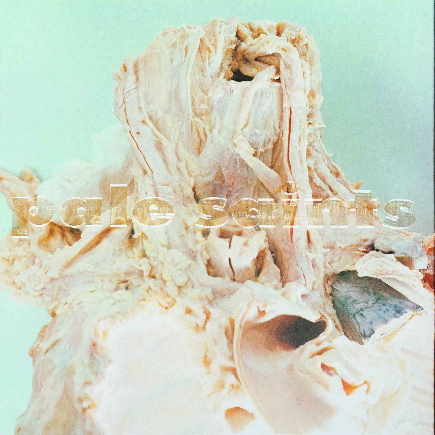 In Ribbons [2LP Deluxe] [Vinyl]