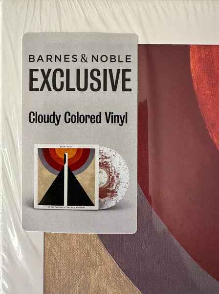 In the Shadow of the Holy Mountain [Vinyl]