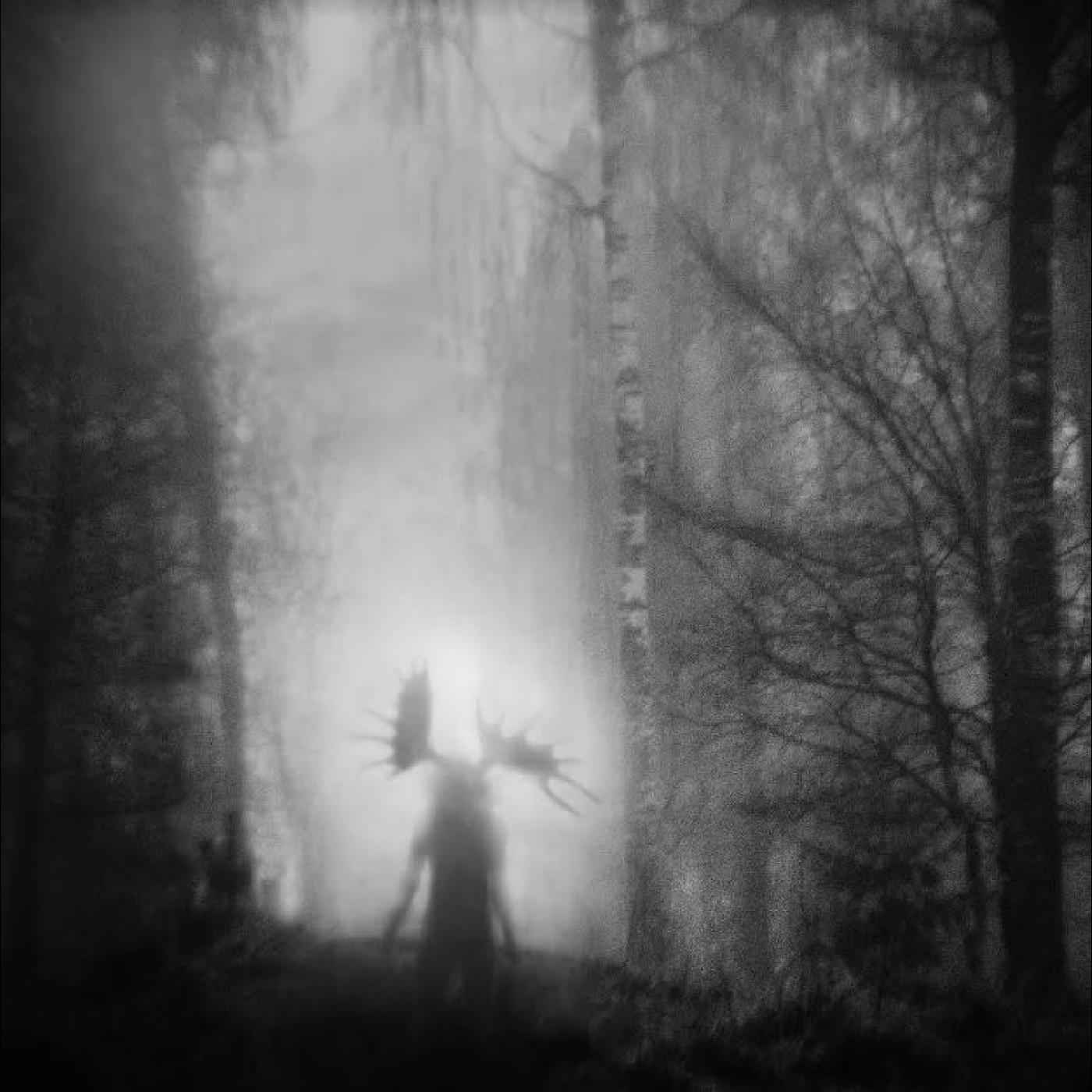From the Infinite Light [CD]