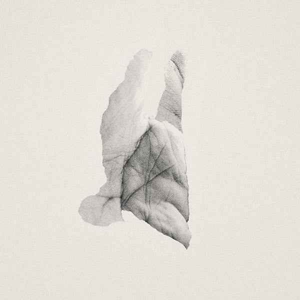 Sleep Heavy [CD]