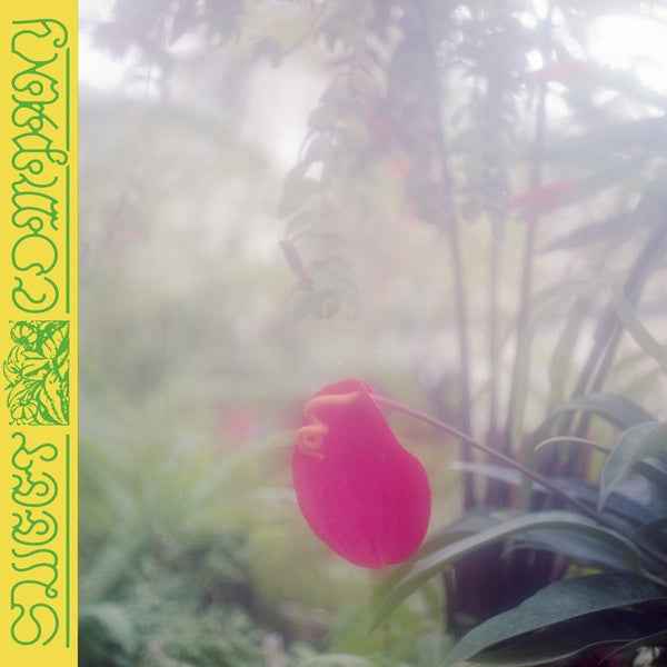 Sweet Company [CD]
