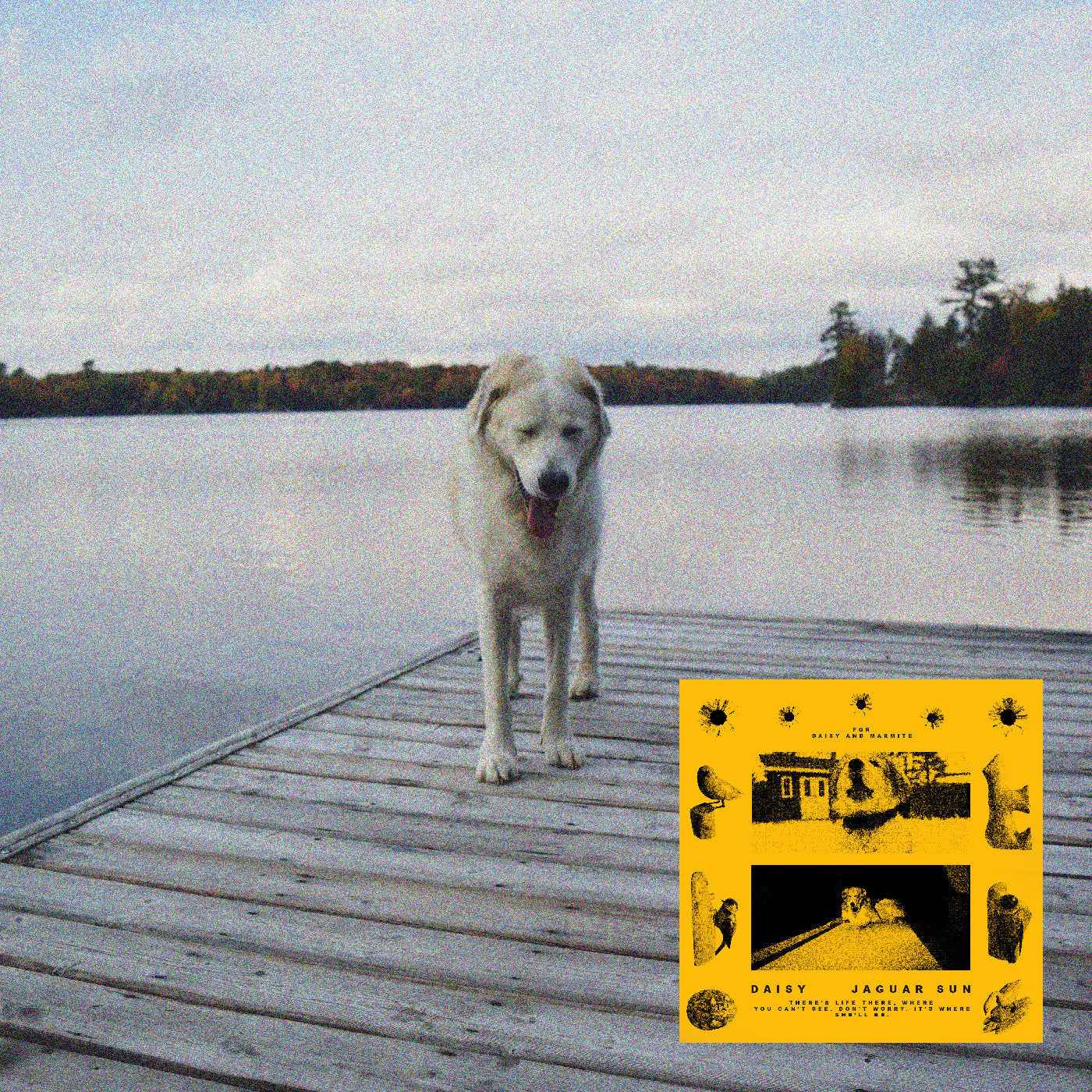 Daisy [CD]
