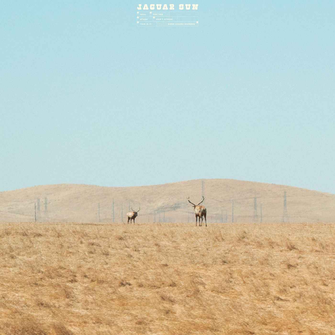 For You (Blue And Black Swirl Vinyl) [Vinyl]
