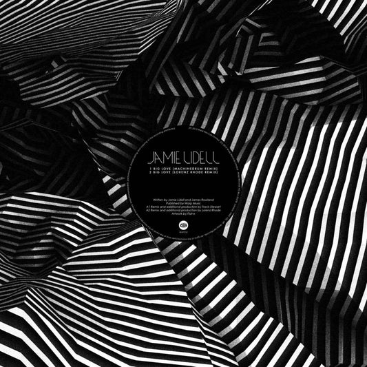 Big Love Remixes [Vinyl]