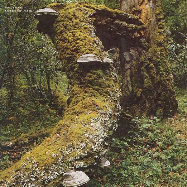 Kosmischer Pitch [Vinyl]