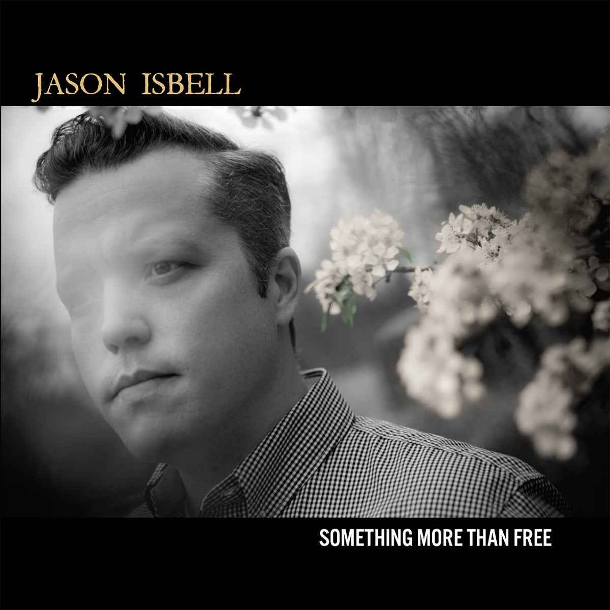 Something More Than Free (10 Year Anniversary Edition) [2LP] [Vinyl]