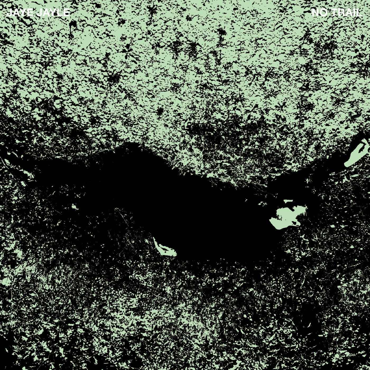 Jaye Jayle - No Trail and Other Unholy Paths [Vinyl]