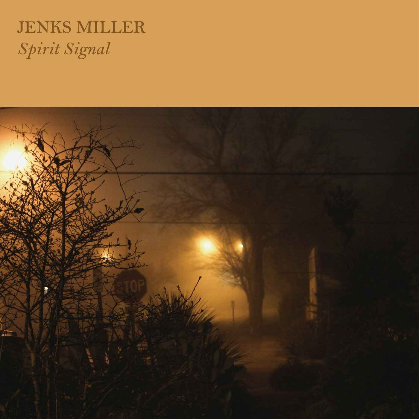 Spirit Signal [Vinyl]