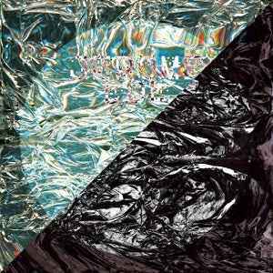 Deleted/Fool - 12" [Vinyl]
