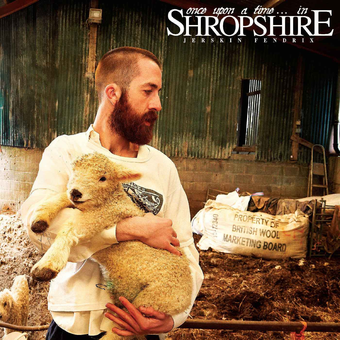 Once Upon A Time. . . In Shropshire (Shropspire Mud Brown Vinyl) [Vinyl]
