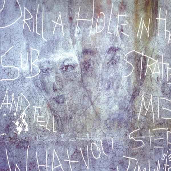 Drill A Hole in that Substrate nd Tell Me What You [CD]