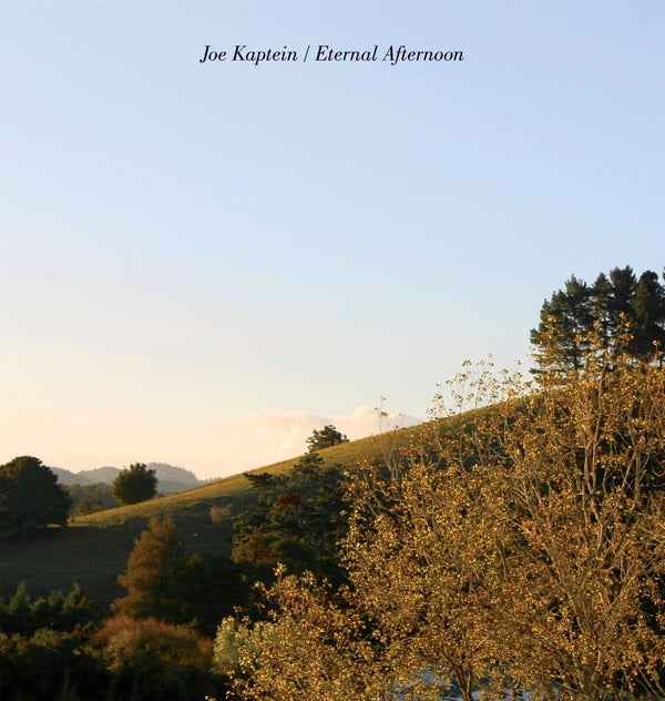 Eternal Afternoons [Vinyl]