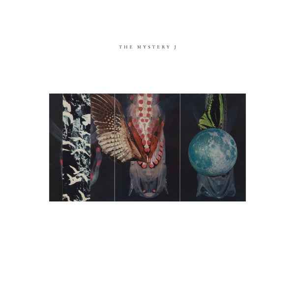The Mystery J [Vinyl]