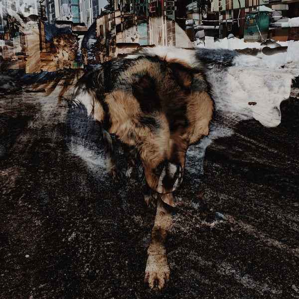 Primitive Energetics [CD]