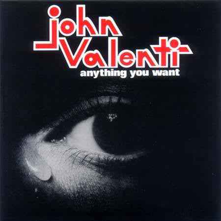 Anything You Want [Vinyl]