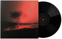 Piss In The Wind [Explicit Content] [Vinyl]