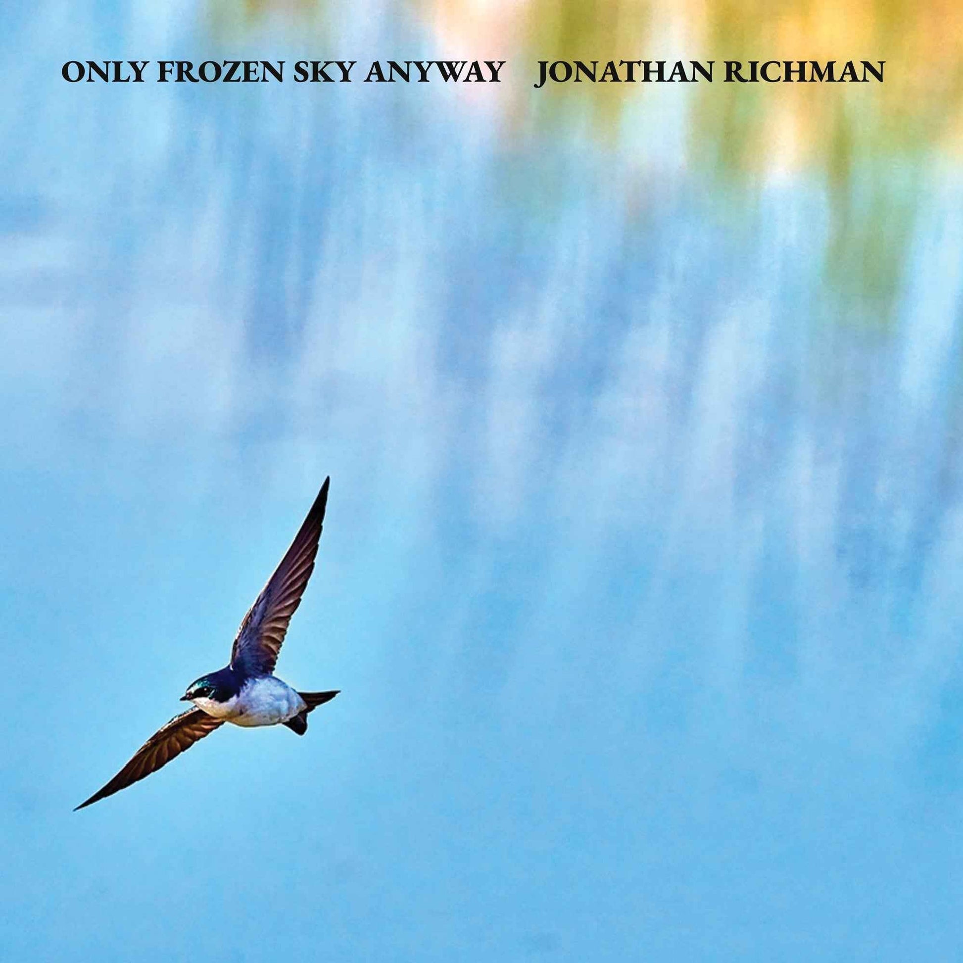 Only Frozen Sky Anyway LP [Vinyl]