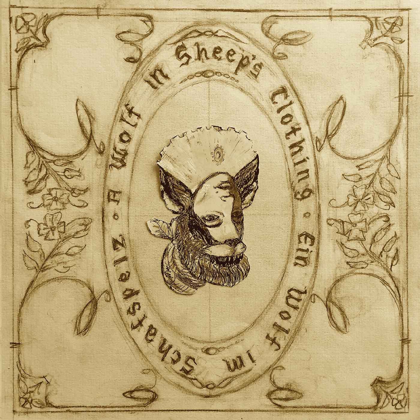 A Wolf in Sheeps Clothing [CD]