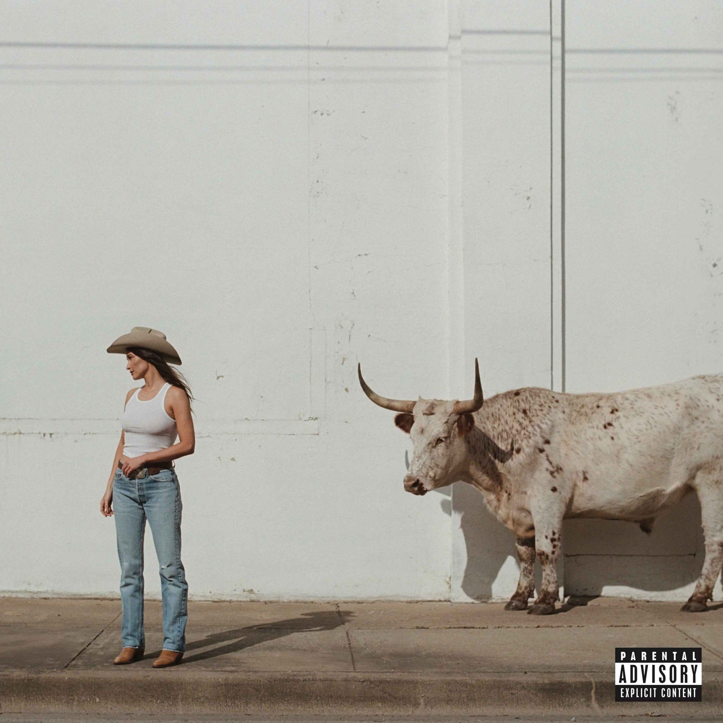 Middle Of Nowhere [Rodeo Clown Edition Vinyl] [Vinyl]