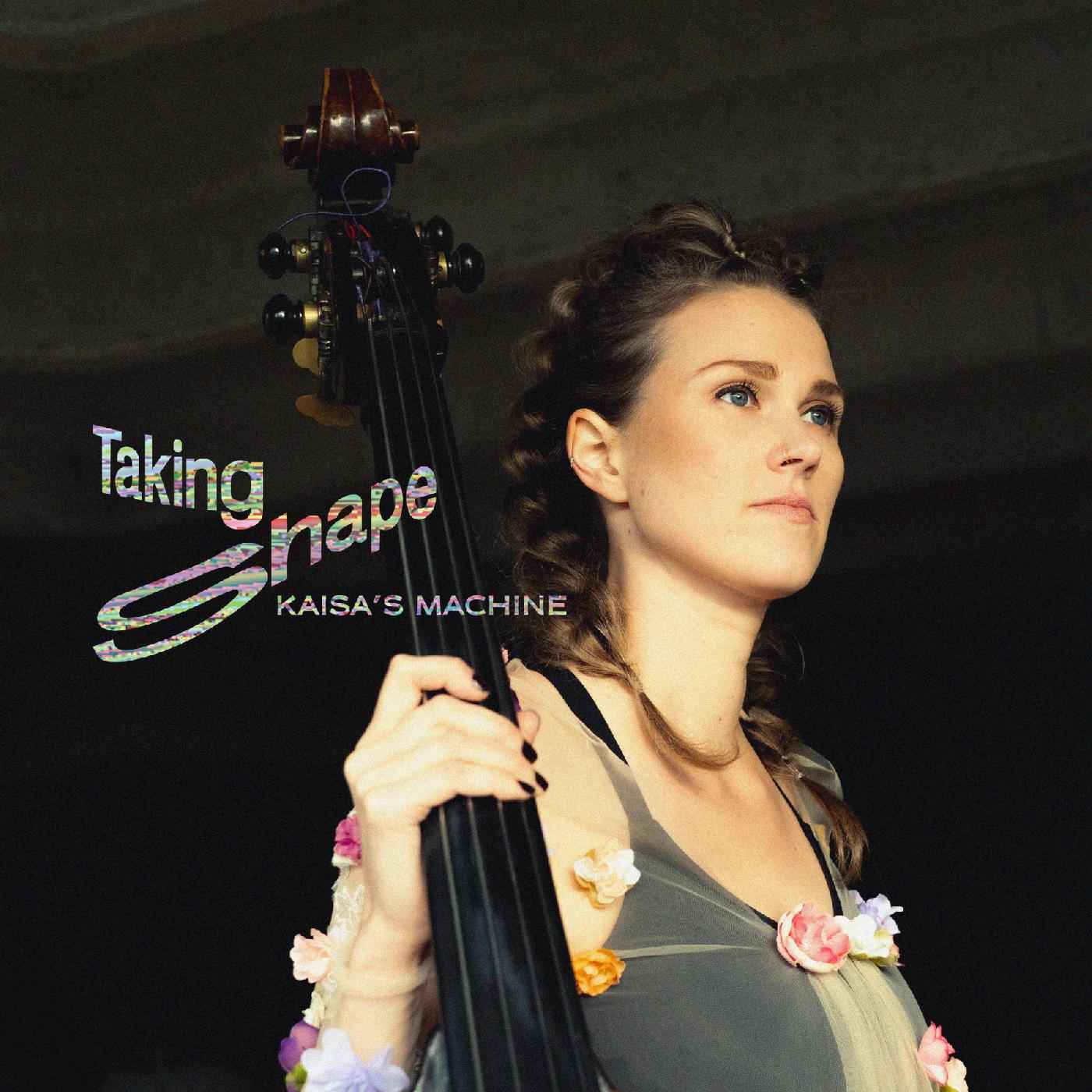 Taking Shape [CD]