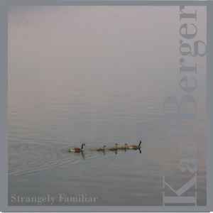 Strangely Familiar [CD]