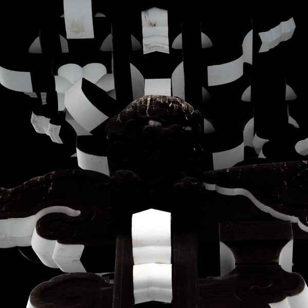 Shifted in Dreams [Vinyl]