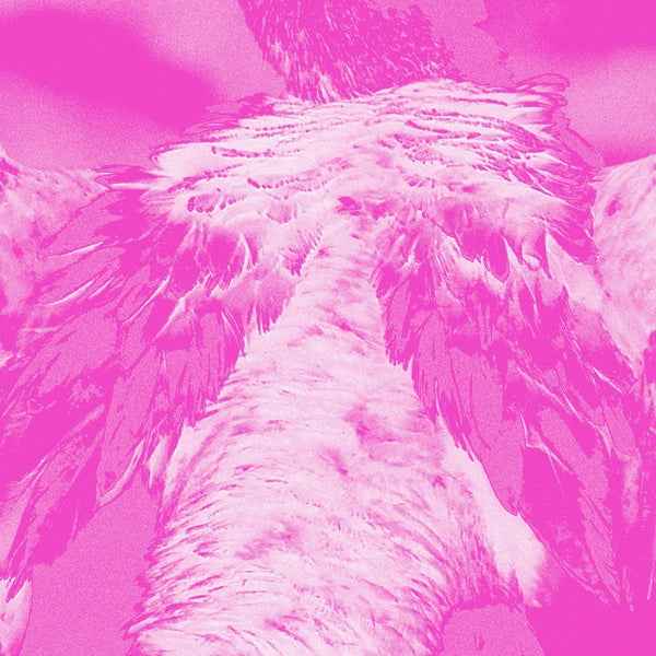 A field guide to phantasmic birds [CD]