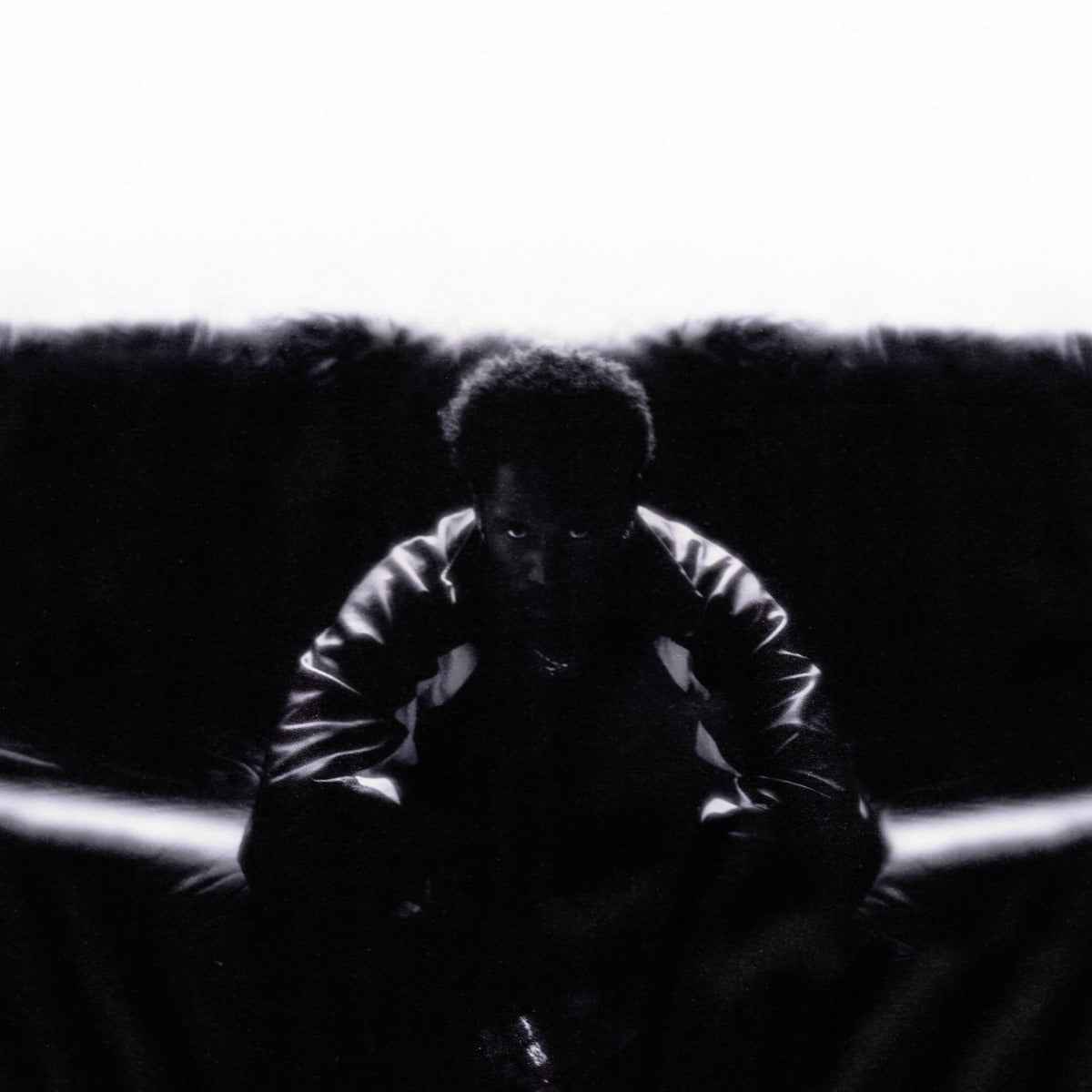 Timeless (2Lp) [Vinyl]