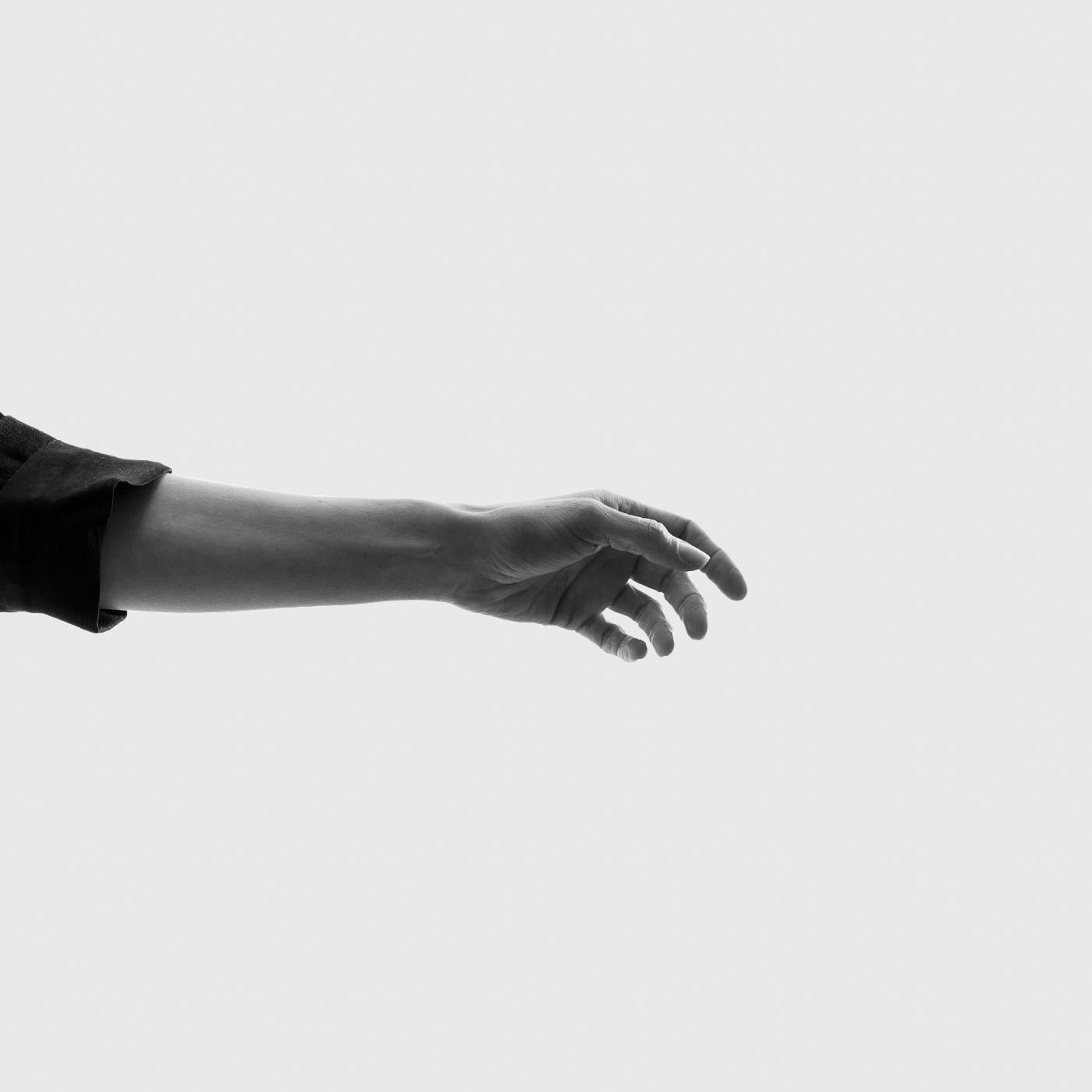 Limbs [CD]