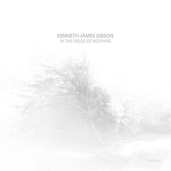 In The Fields Of Nothing [CD]