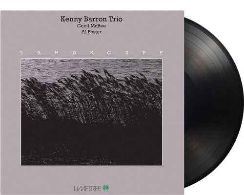 Kenny Barron Trio - Landscape [Vinyl]