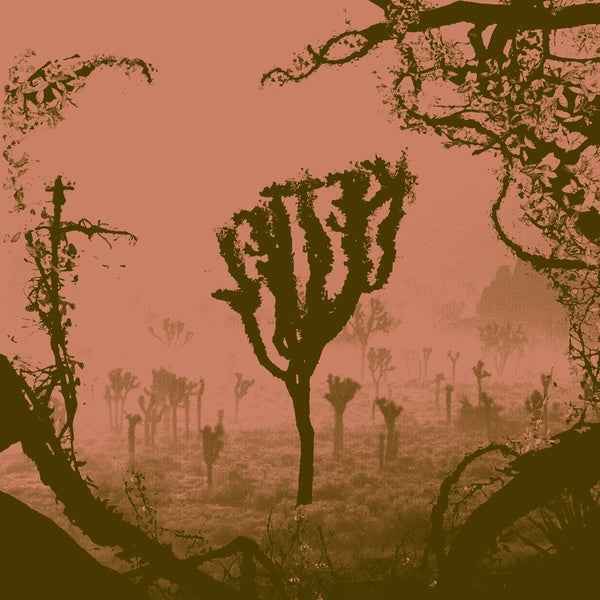 KETTEL - My Dogan [Vinyl]