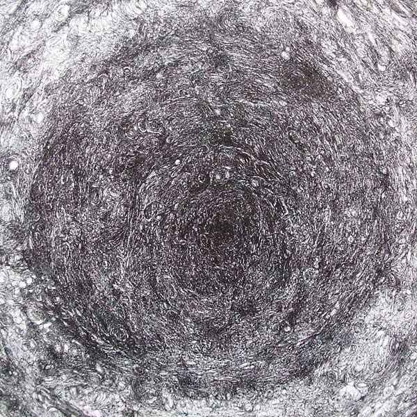 The Back Room [Vinyl]