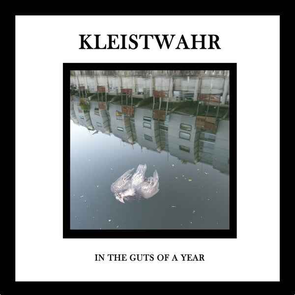 In the Guts of a Year [CD]