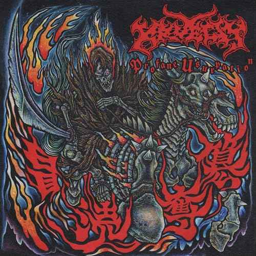Profane Usurpation [Vinyl]