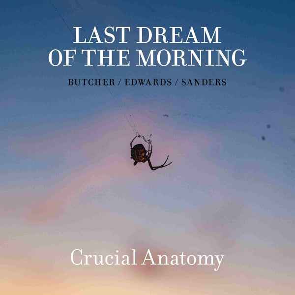 Crucial Anatomy [CD]