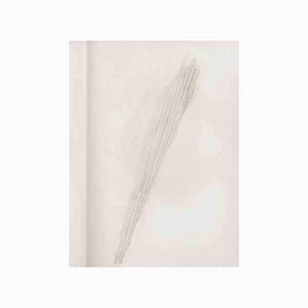 A Mirror Holds The Sky [CD]
