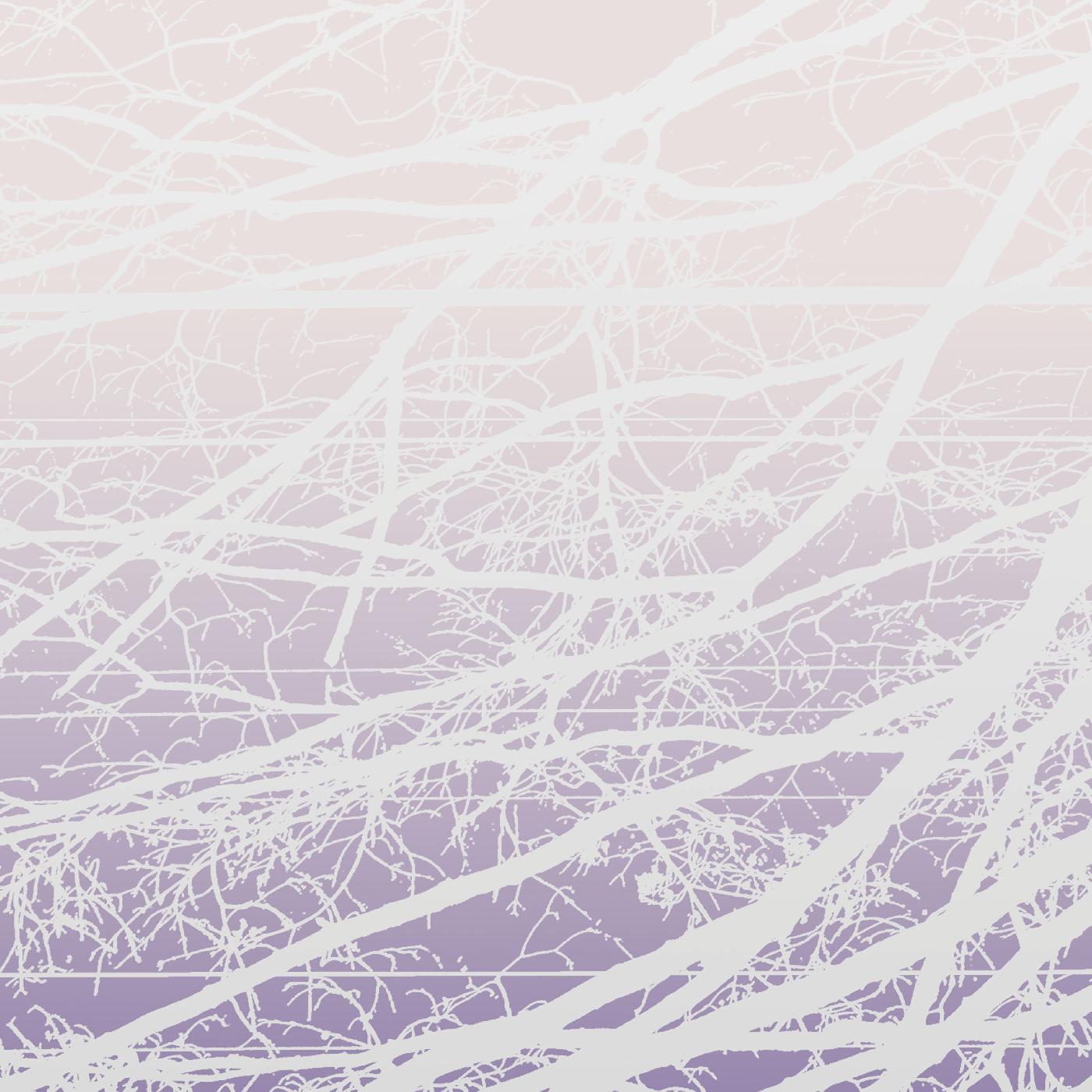 Metal Aether / Resonant Field [Vinyl]